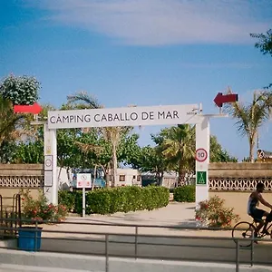2* Camping Senia Caballo De Mar